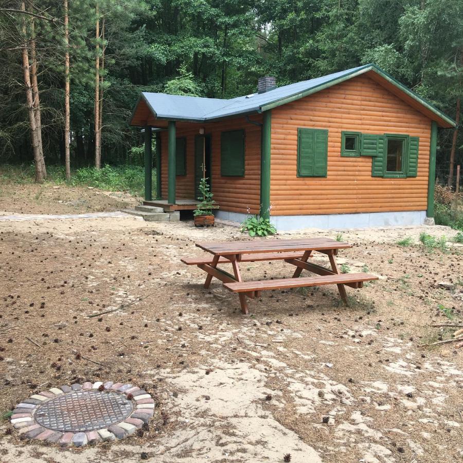 Agroturystyka Oaza Ciszy I Spokoju Miedzychod Exteriör bild