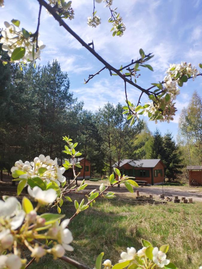 Agroturystyka Oaza Ciszy I Spokoju Miedzychod Exteriör bild