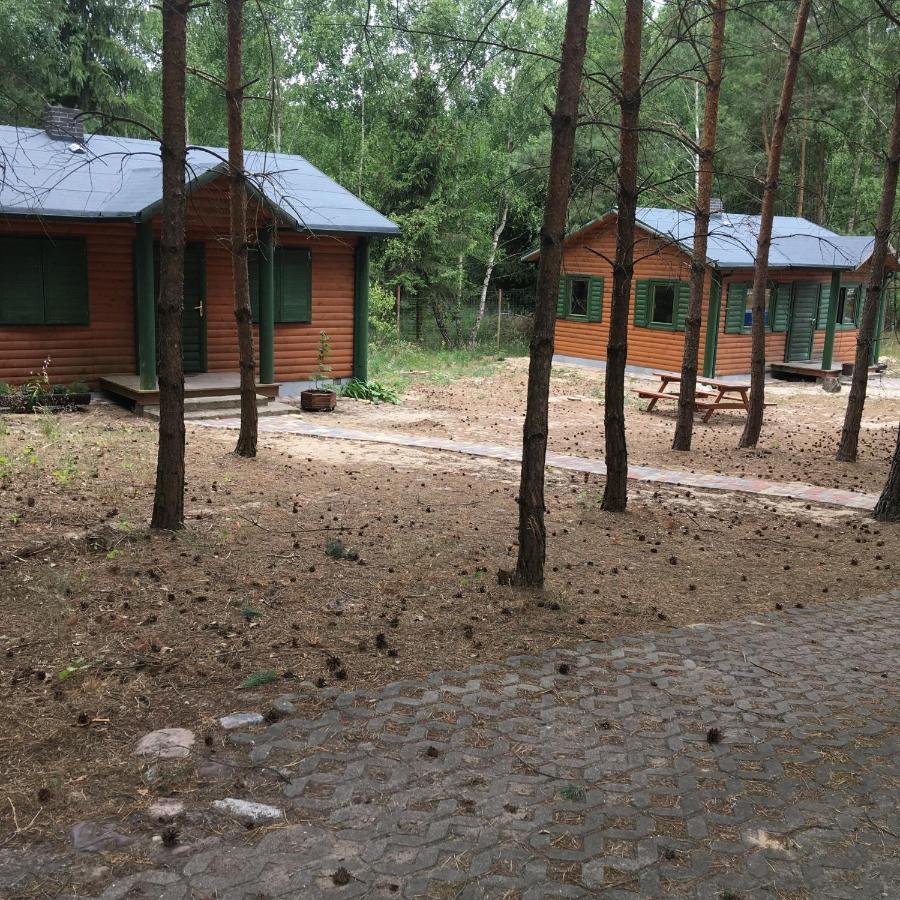 Agroturystyka Oaza Ciszy I Spokoju Miedzychod Exteriör bild