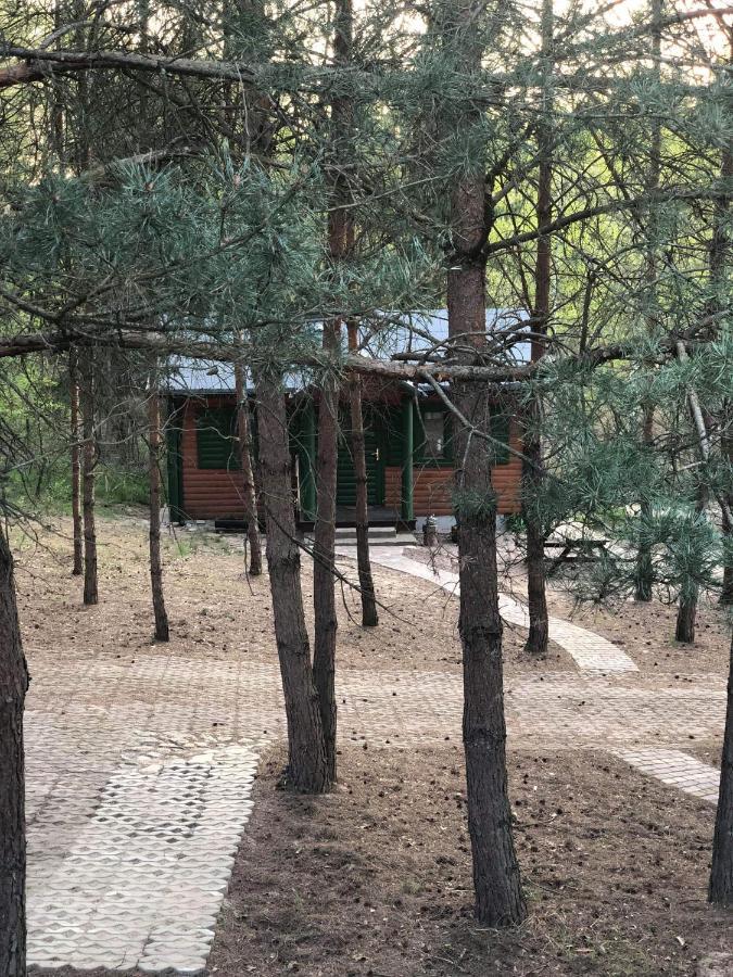 Agroturystyka Oaza Ciszy I Spokoju Miedzychod Exteriör bild